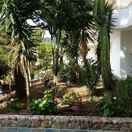 Afentouli Apartment *